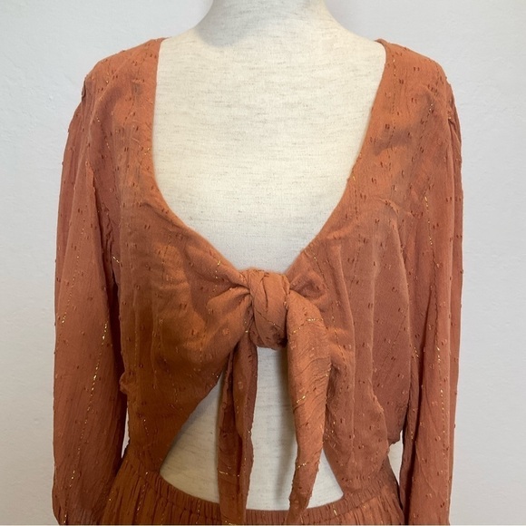 L*Space Stay Golden Mini Dress  in Brown XSmall - Picture 3 of 13